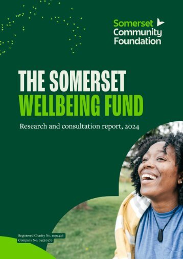 The Somerset Wellbeing Fund: Research and Consultation Report, 2024