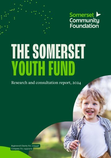 The Somerset Youth Fund: Research and Consultation Report, 2024
