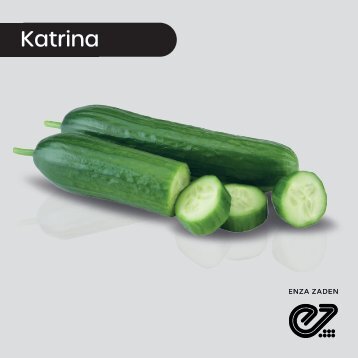 Pepino Persa Katrina