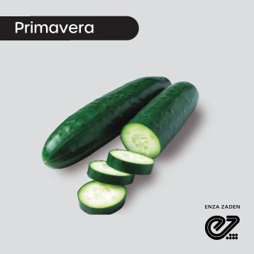 Pepino Americano Primavera