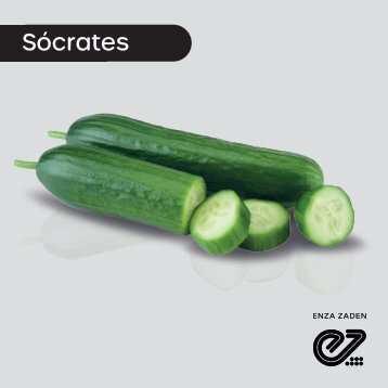Pepino Persa Sócrates