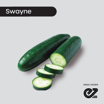 Pepino Americano Swayne