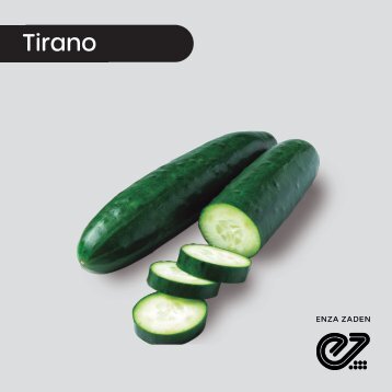 Pepino Americano Tirano