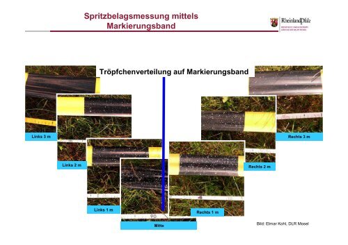 Hubschraubereinsatz im Pflanzenschutz - Weinbauversuchsring Ahr ...