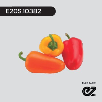 Cónical Rojo E20S.10382 