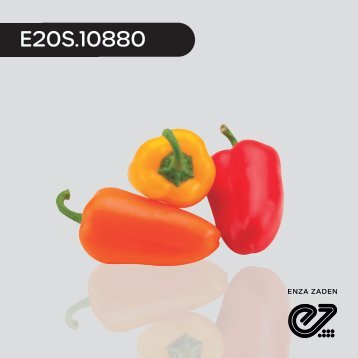 Cónico Amarillo E20S.10880 