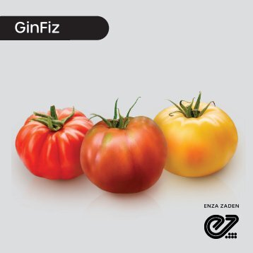 Tomate Heirloom GinFiz