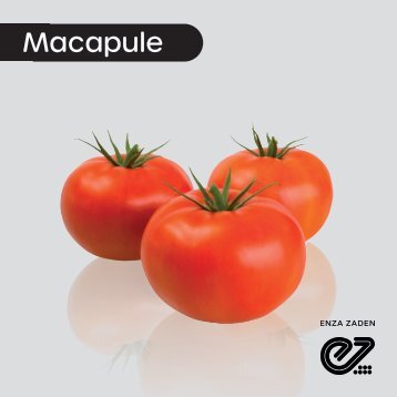 Tomate Beef Indeterminado Macapule