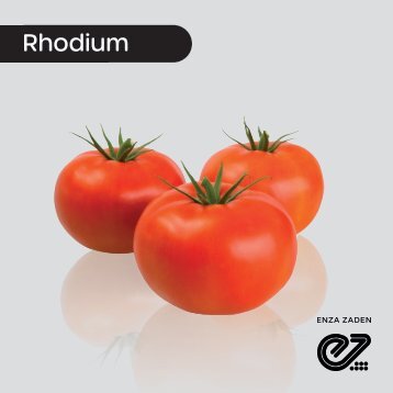 Tomate TOV Rhodium