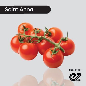 Tomate Cocktail Saint Anna