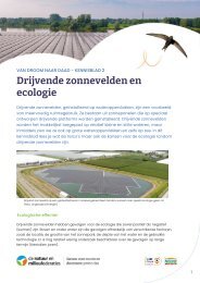 Van droom naar daad - Kennisblad 2: Drijvende zonnevelden en ecologie