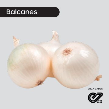 Cebolla Blanca Balcanes