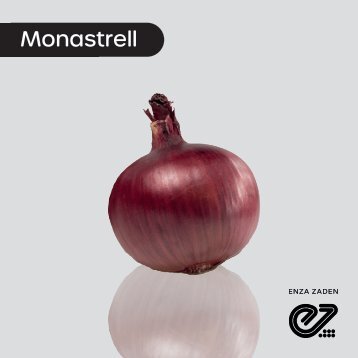 Cebolla Morada Monastrell
