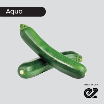 Calabaza Oscura Aqua