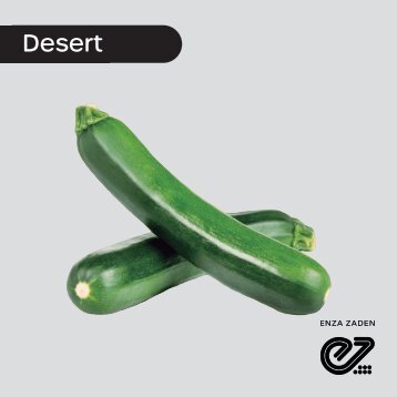 Calabaza Oscura Desert