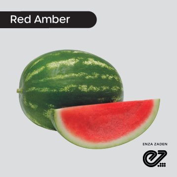 Sandía sin semillas Red Amber