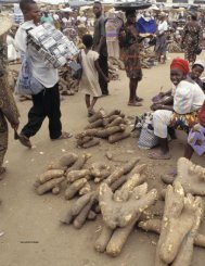 Yam sellers in Benin - Cities Alliance