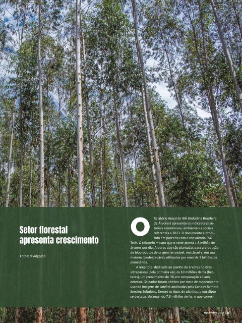 AFFlorestal_268Web