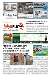 20241109Lokalfuchs