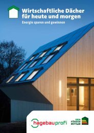 Wirtschaftliche Dächer für heute und morgen - Energie sparen und gewinnen