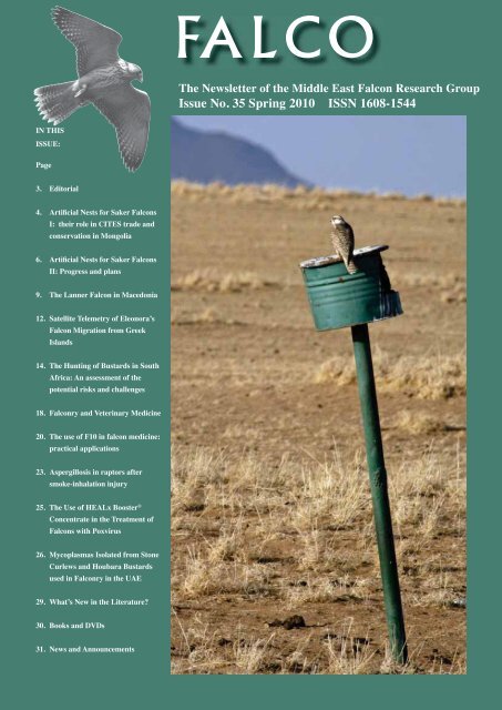 PDF) BIRDS OF PREY IN UKRAINE: THEIR STATUS AND DISTRIBUTION