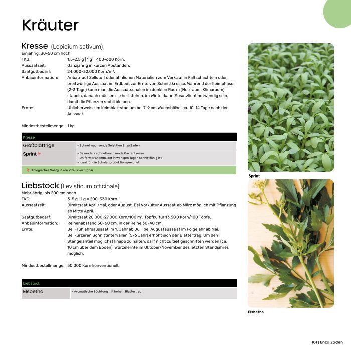 künstliche teelichter Lotti LED Teelicht 2er Set, wasserdicht • Farbvarianten • LED-Deko bei  LEDs.de
