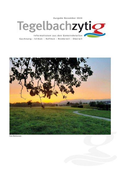 Tegelbachzytig-2024-11