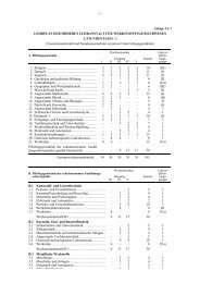 Lehrplan Werkstoffingenieurwesen - HTL Kapfenberg