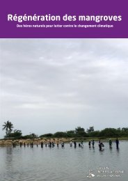 Régénération des mangroves-Des héros naturels pour lutter contre le changement climatique
