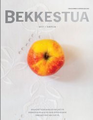 Bekkestuamagasinet nr 9 VINTEREN 2024-2025