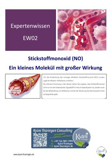 Stickstoffmonoxyd und seine Funktion im Körper. Nitric Oxide ist überlebenswichtig! Kennen Sie Nitric Oxide?  Exclusiv bei Kyäni Thüringen!