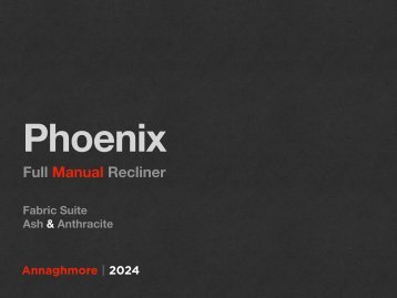 PHOENIX SUITE