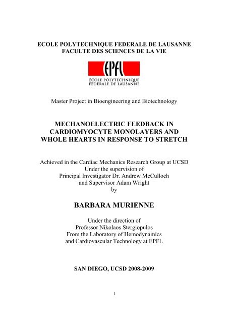 B. Murienne - Master Project Thesis - Infoscience - EPFL