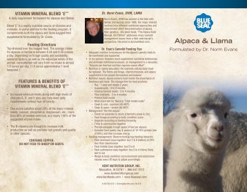 Alpaca & Llama - Blue Seal Feeds