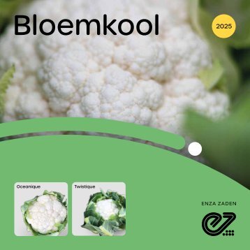Bloemkool 2025