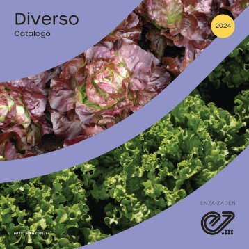 Catalogo Diverso 2024_web