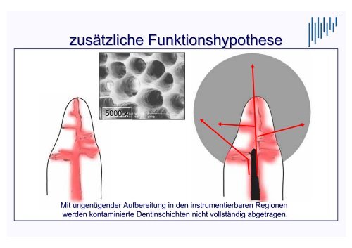 Vortrag Prof. Dr. Hans-Ludwig Graf - 3.3 Mb - Gesellschaft für Zahn ...