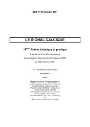 le signal calcique 15 - Atelier Calcium - Université Paul Sabatier