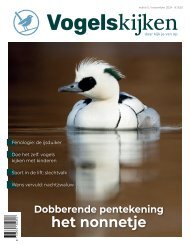 Vogelskijken magazine editie 5 - 2024 inkijkexemplaar