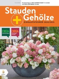 Stauden + Gehölze 2024|2025