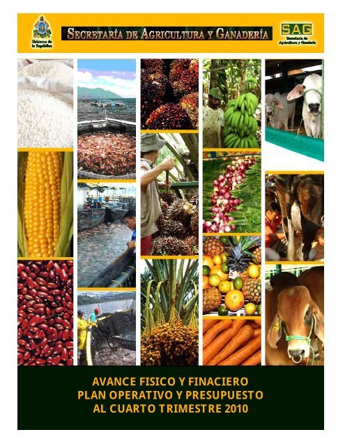 Informe SAG al Cuarto Trimestre 2010 - Secretaría de Agricultura y ...