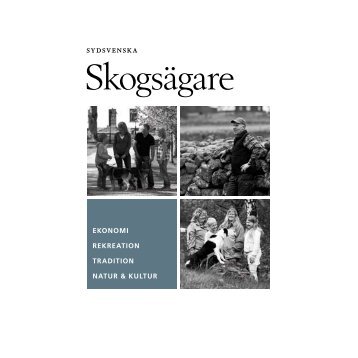 Sydsv Skogs low