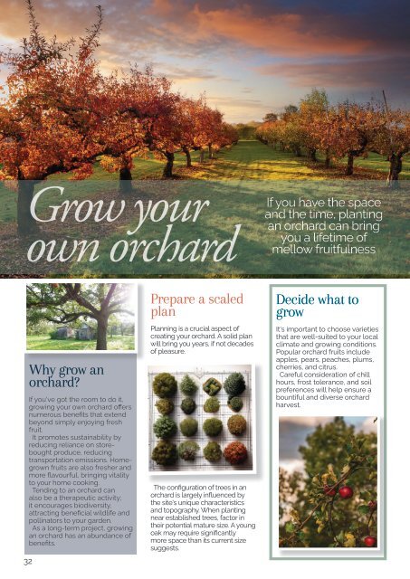 Whitchurch and Llandaff Living Issue 71