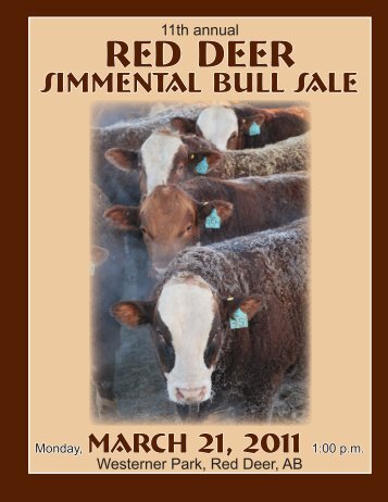 Red Deer Simmental Bull Sale - Transcon Livestock Corporation