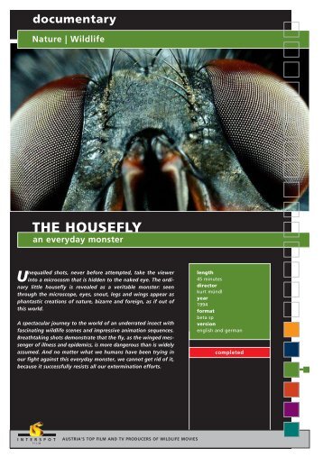 documentary Nature | Wildlife THE HOUSEFLY an ... - Interspot Film