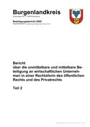 Beteiligungsbericht 2009 - Burgenlandkreis