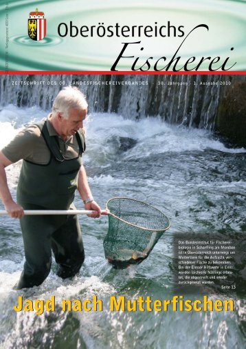 Liebe Fischerinnen und Fischer! - Oberösterreichischer ...