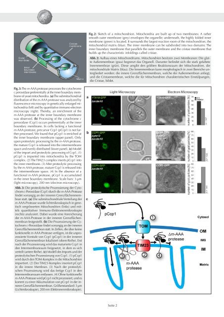 Seminar for PhD students - Max-Planck-Institut für biophysikalische ...