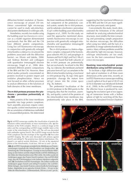 Seminar for PhD students - Max-Planck-Institut für biophysikalische ...