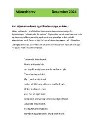 Nyhedsbrev december 2024